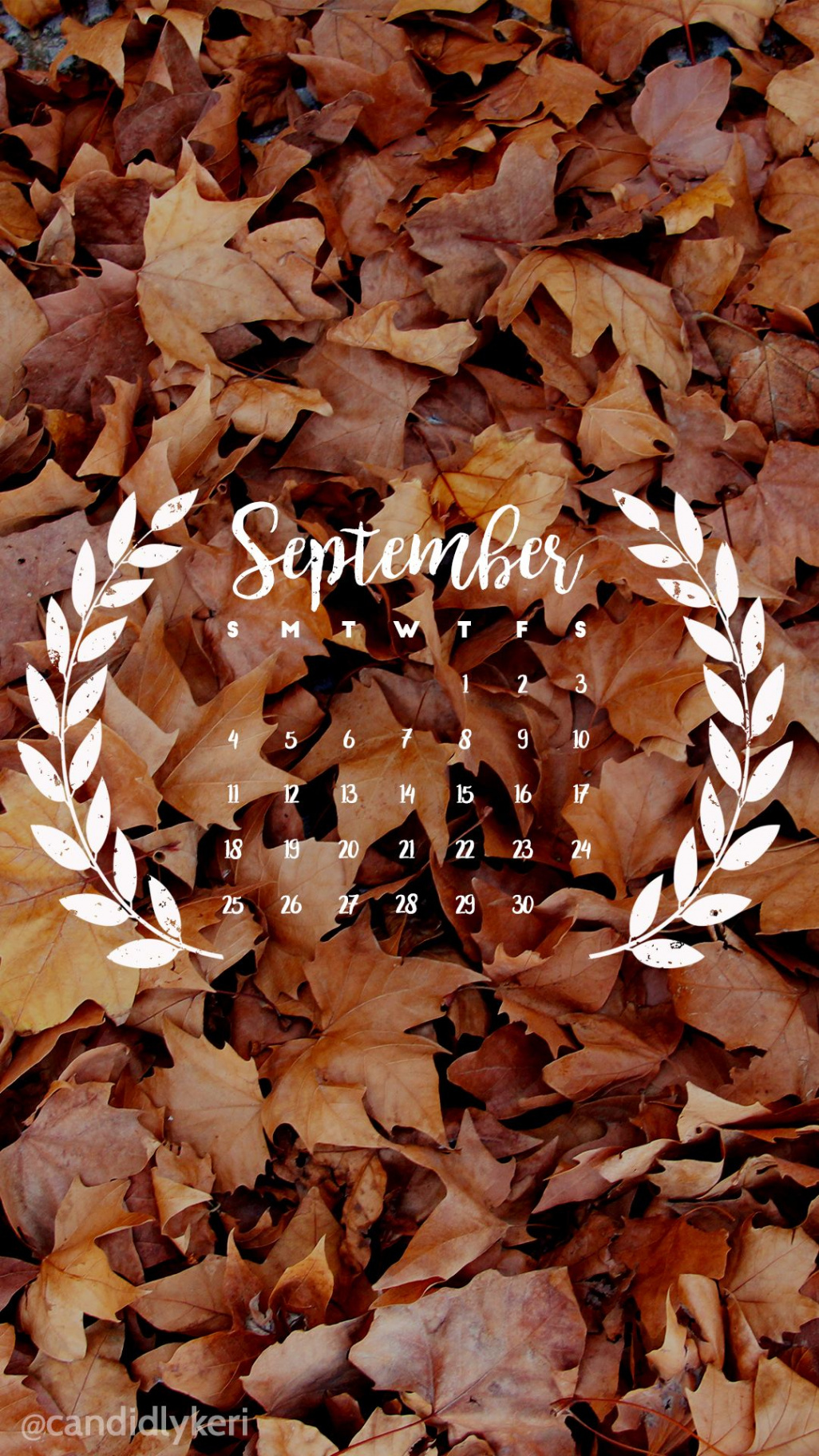 Fall leaf September calendar  wallpaper you can download for