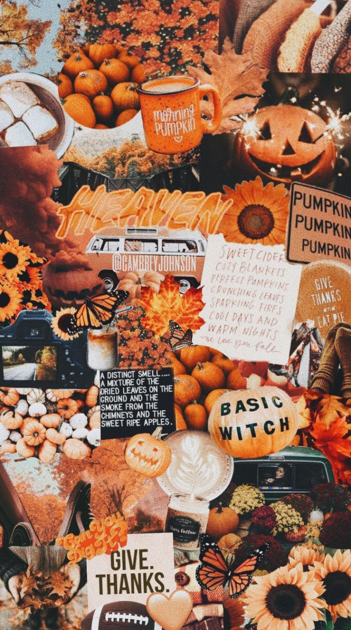 fall vibes  Iphone wallpaper fall, Iphone wallpaper, Halloween