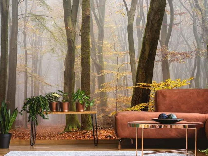 Foggy Fall Wallpaper  About Murals