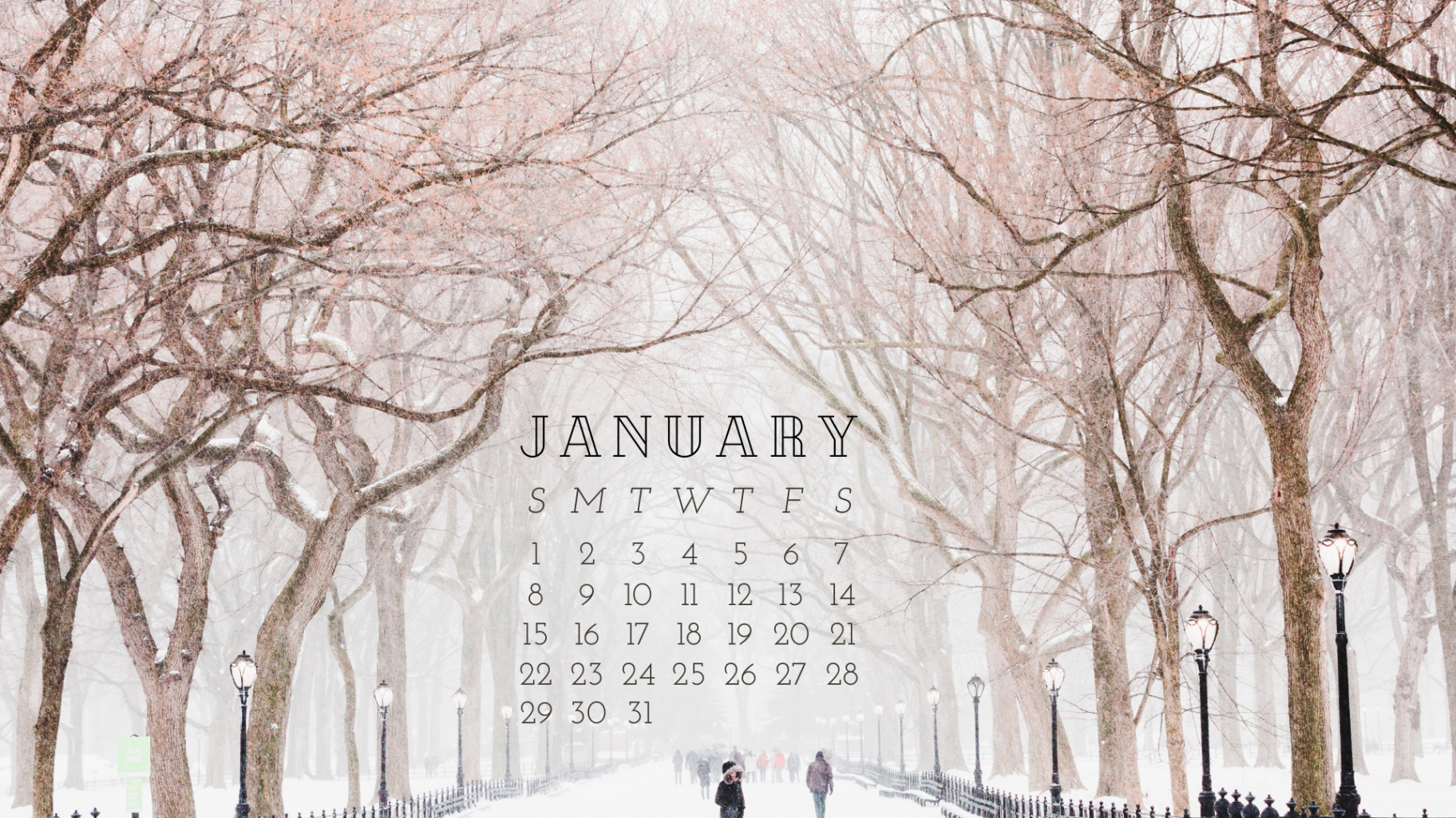 FREE JANUARY  Desktop Calendar Backgrounds (EASY DOWNLOAD)