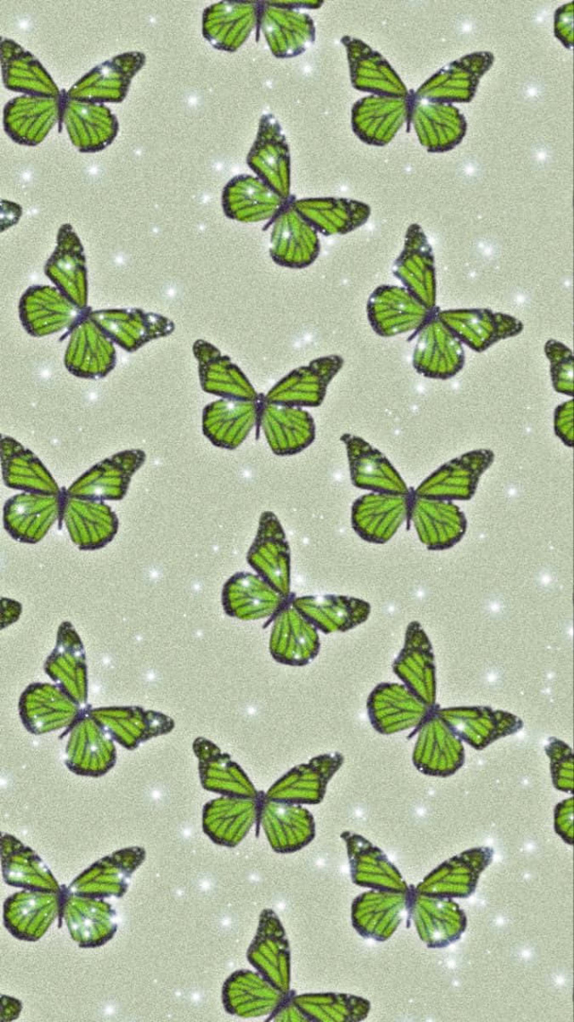 +] Green Butterfly Wallpapers  Wallpapers