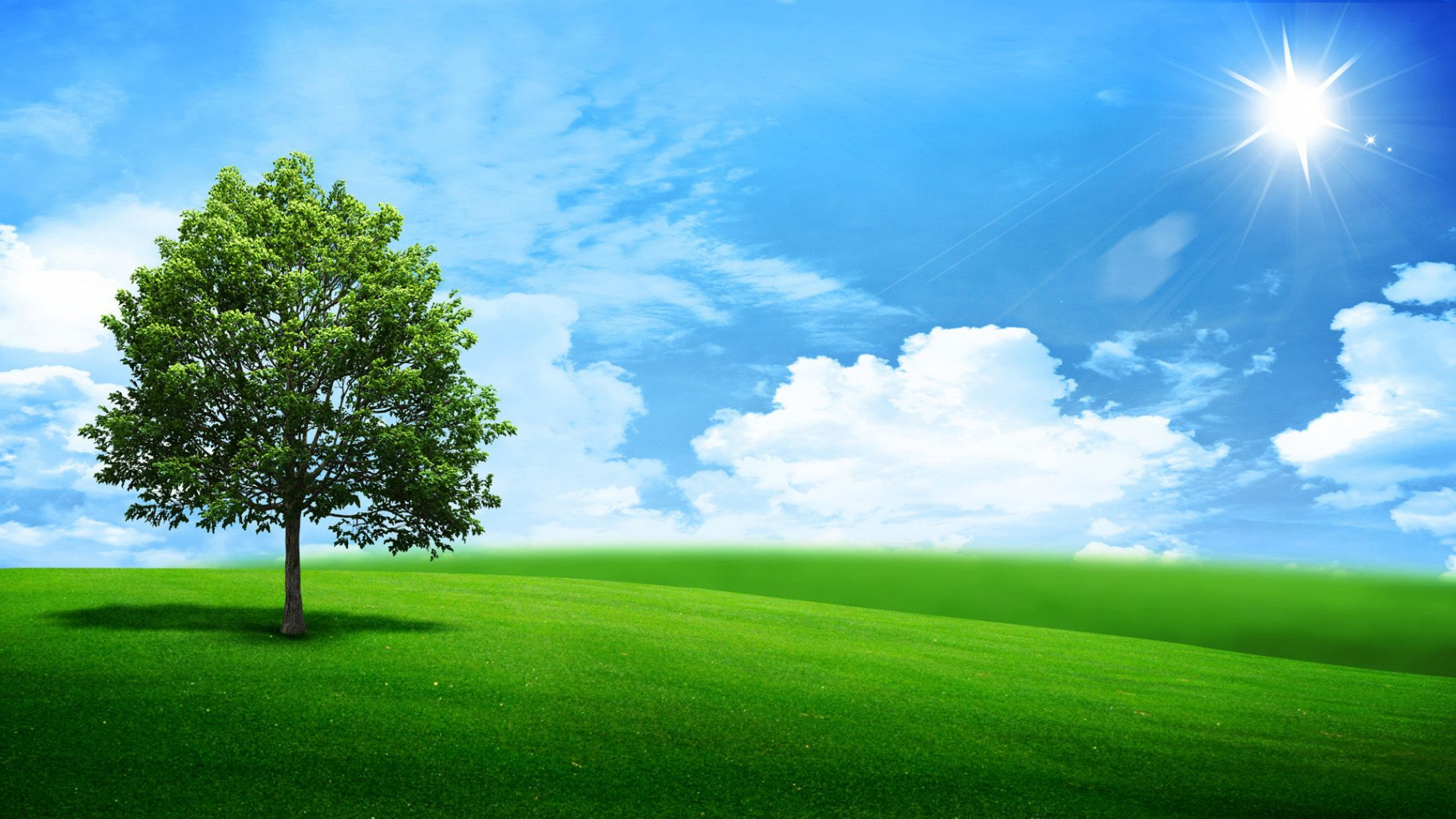 Green Nature Landscape  Green landscape, Landscape wallpaper