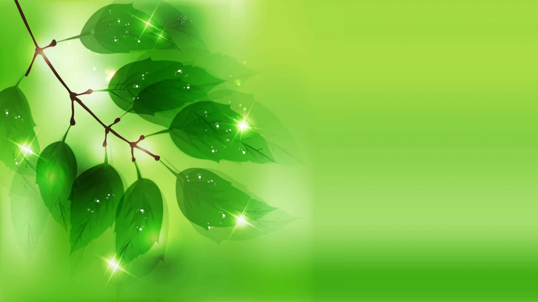 +] Green Pictures  Wallpapers