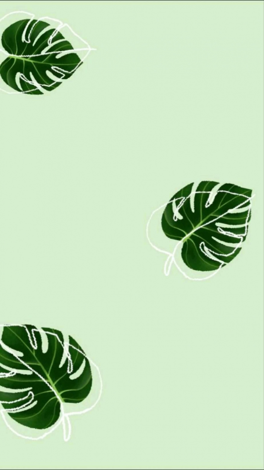 green wallpapers  Mint green wallpaper, Leaves wallpaper iphone