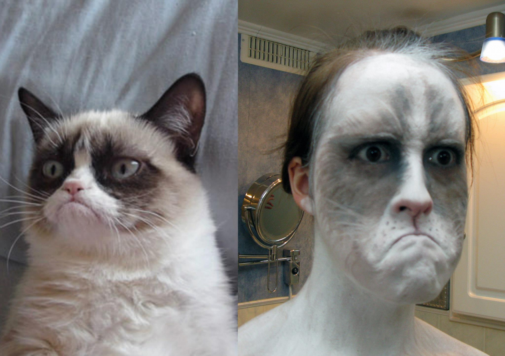 Grumpy Cat Makeup (xpost from r/grumpycats) : r/MakeupAddiction