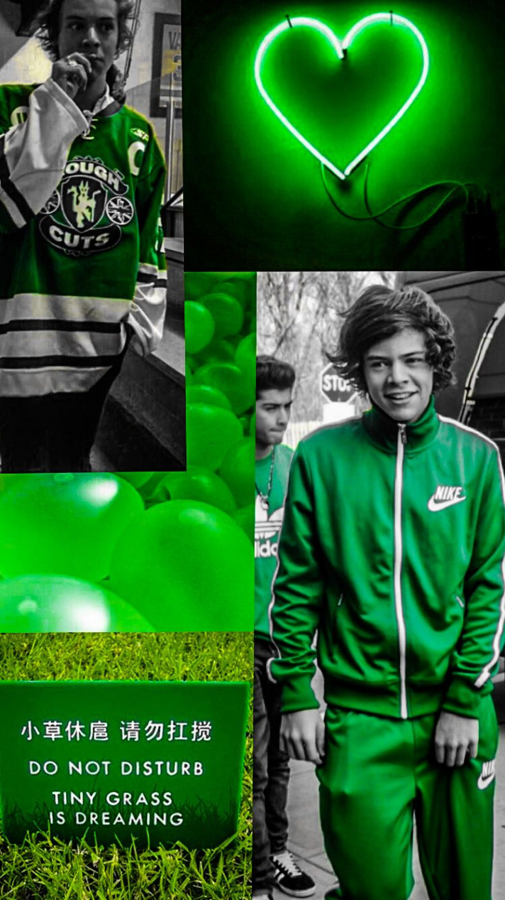 Harry Styles aesthetic wallpaper green  Harry styles aesthetic