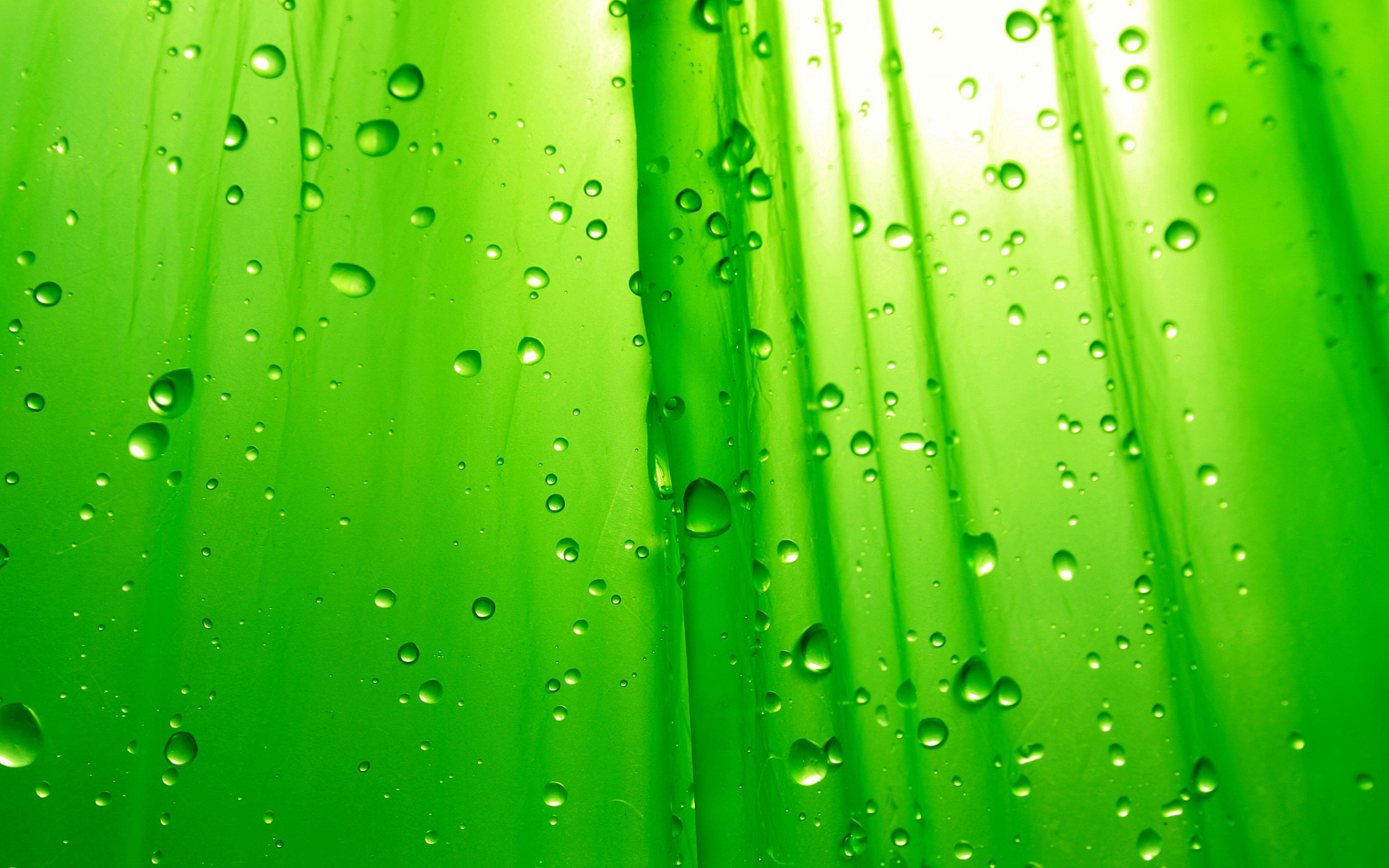 HD Green Computer Wallpapers - Wallpaper Cave