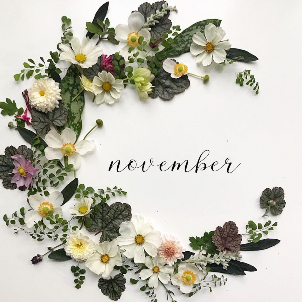 hello november  November flower, Hello november, How to make wreaths