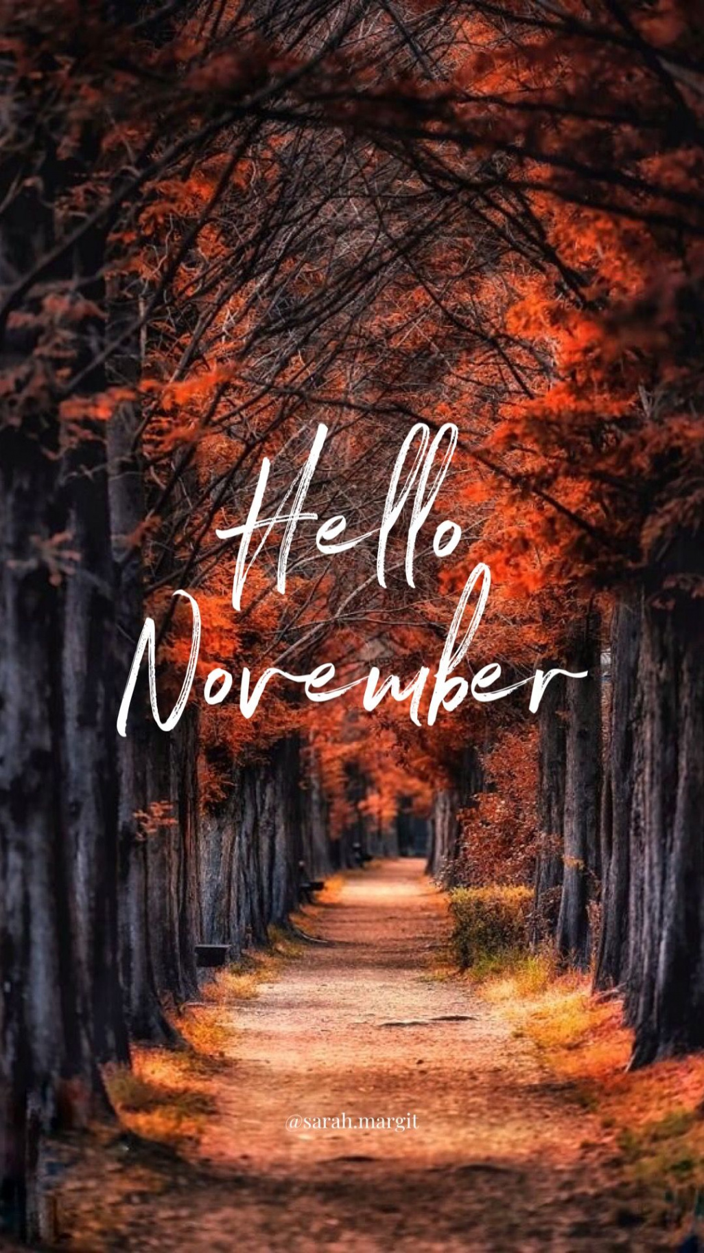 Hello November Wallpaper  November wallpaper, Hello november