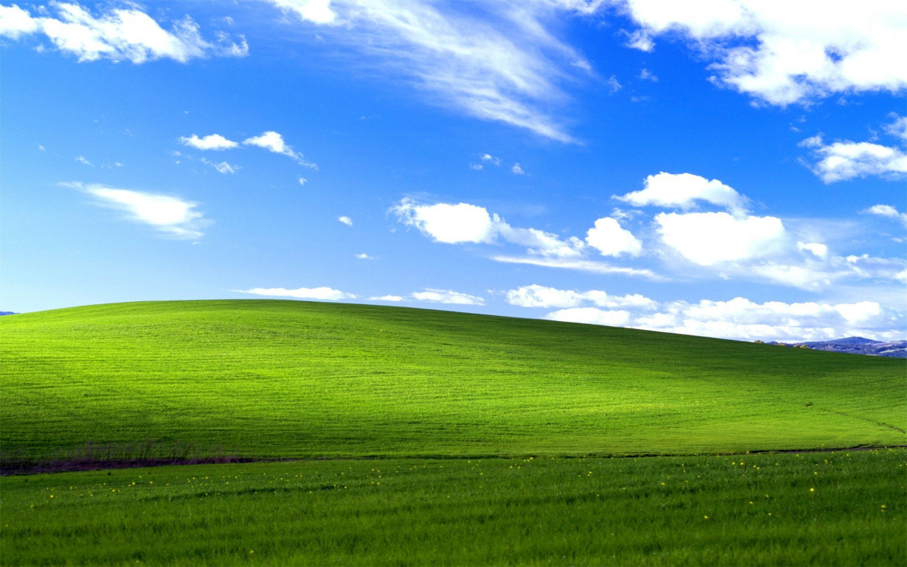 Image result for early s windows background  Windows