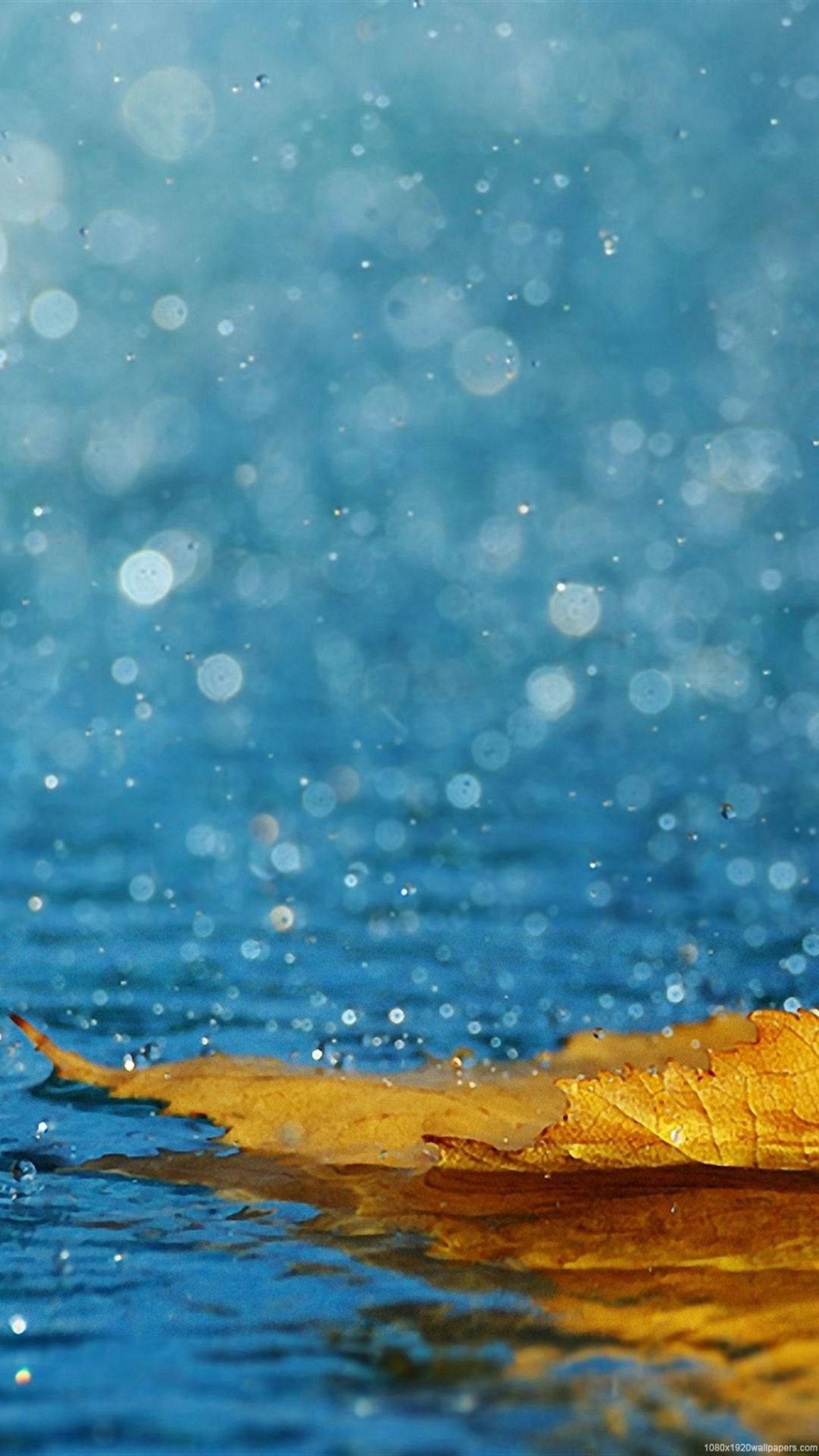 +] Iphone Rain Wallpapers  Wallpapers