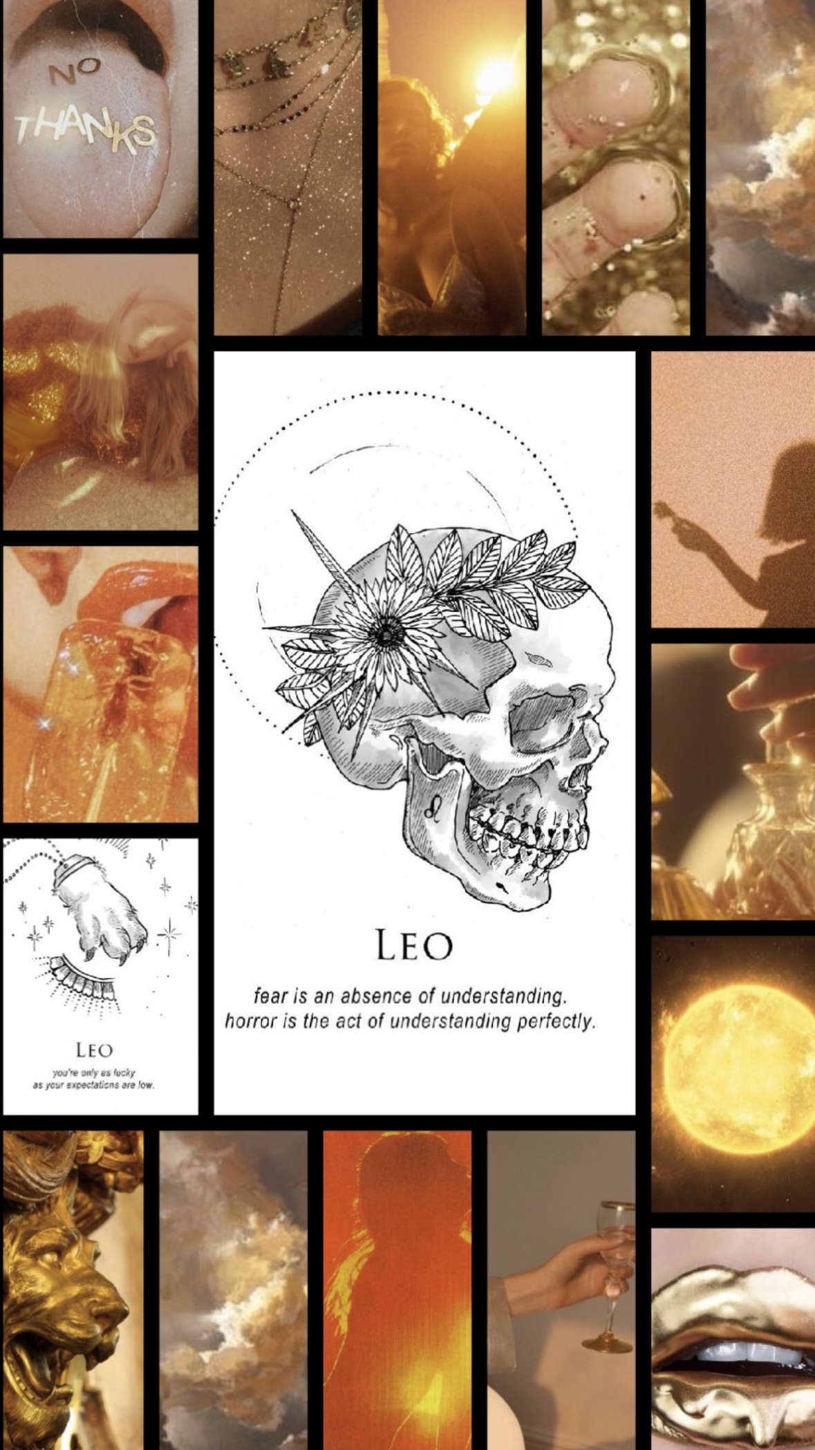 Leo aesthetic wallpaper  Zodiac leo art, Star sign art, Sign art