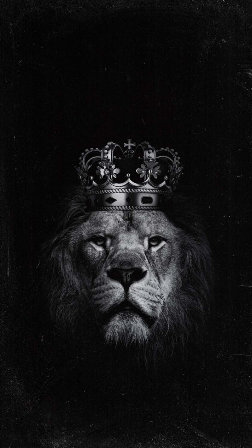 Lion Crown IPhone Wallpaper HD - IPhone Wallpapers : iPhone