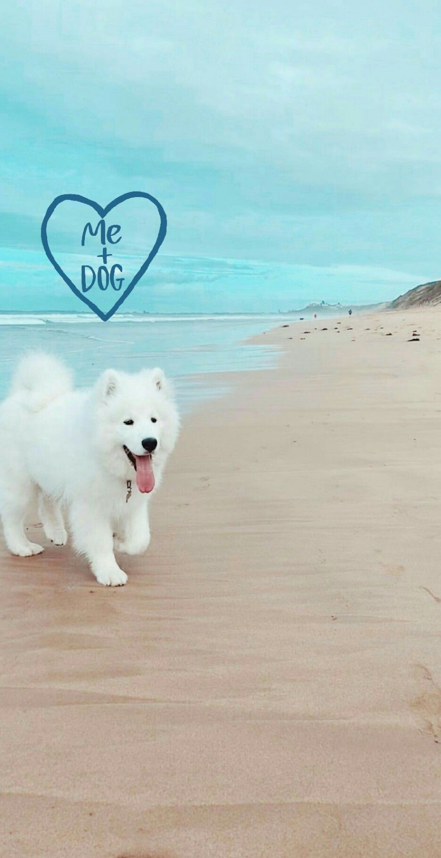 Lock screen wallpaper Quote Background Samoyed  Samoyed, Dog foto