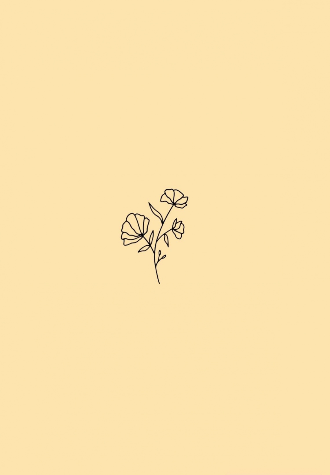 minimalist flower wallpaper; pastel yellow background  Yellow