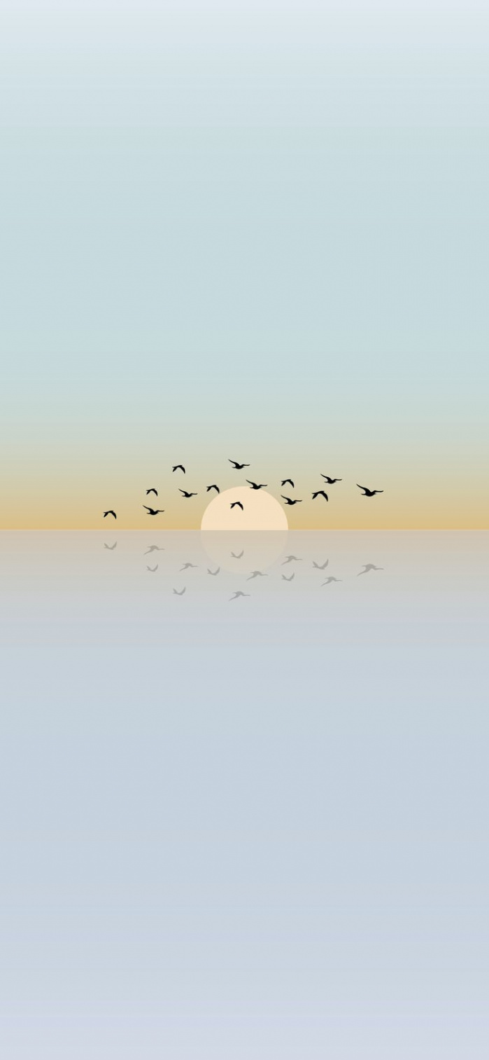 Minimalist phone wallpapers - Sunset and birds flying  Minimalist