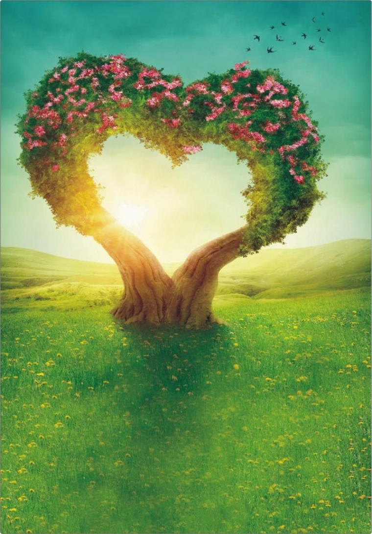 Natural heart shape amazing art features  Background for