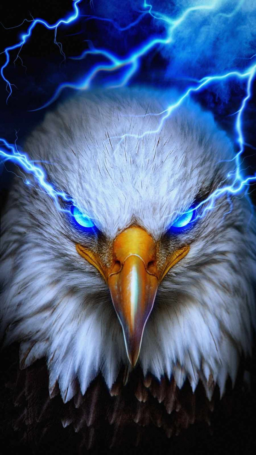 Neon Eagle iPhone Wallpaper - iPhone Wallpapers  Eagle wallpaper