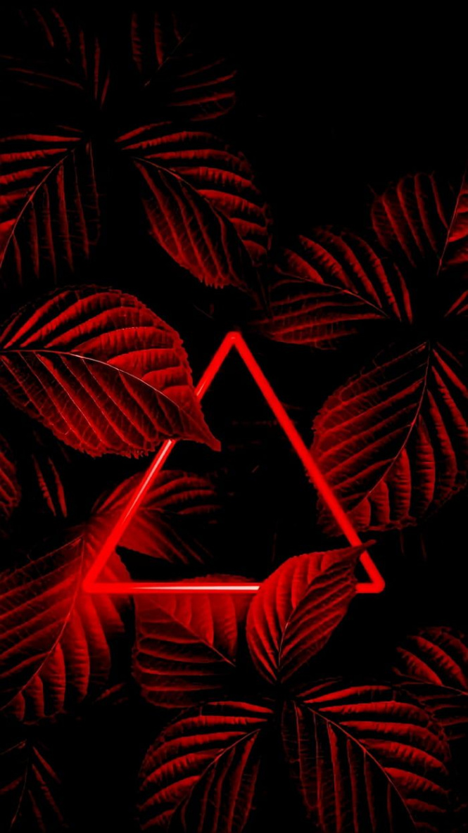 Neon Red Foliage (x) - Wallpaper  Nature iphone wallpaper