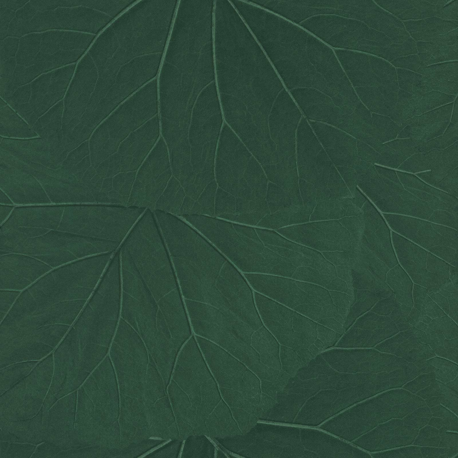 Non-Woven Wallpaper Leaves D Floral dark green 18997