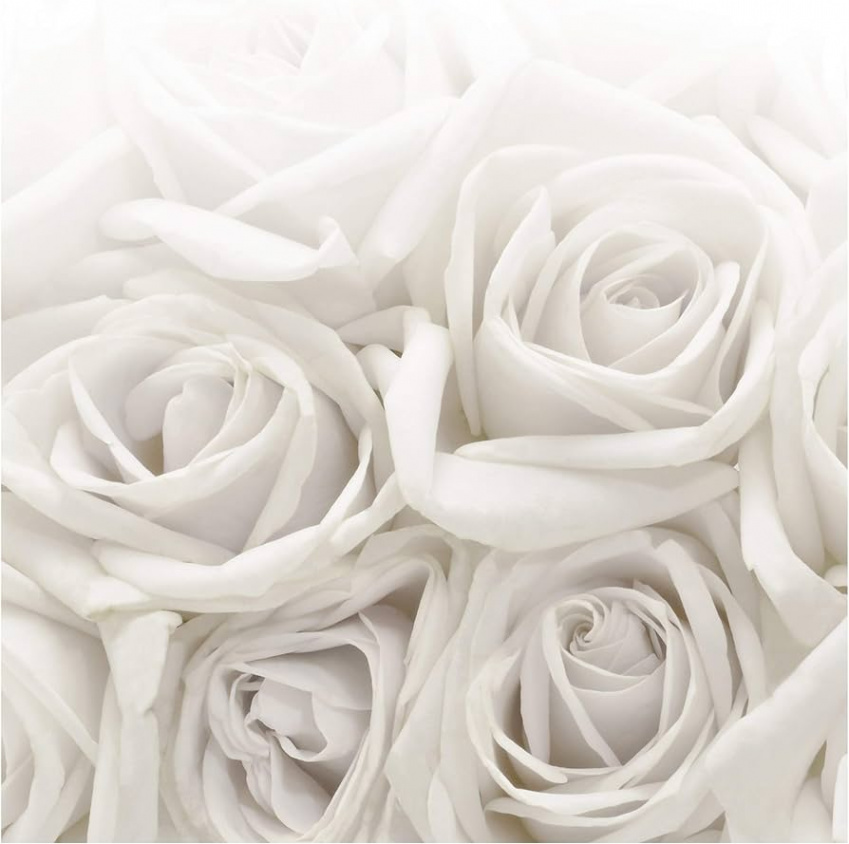 Non-Woven Wallpaper White Roses H x W:  cm x  cm : Amazon