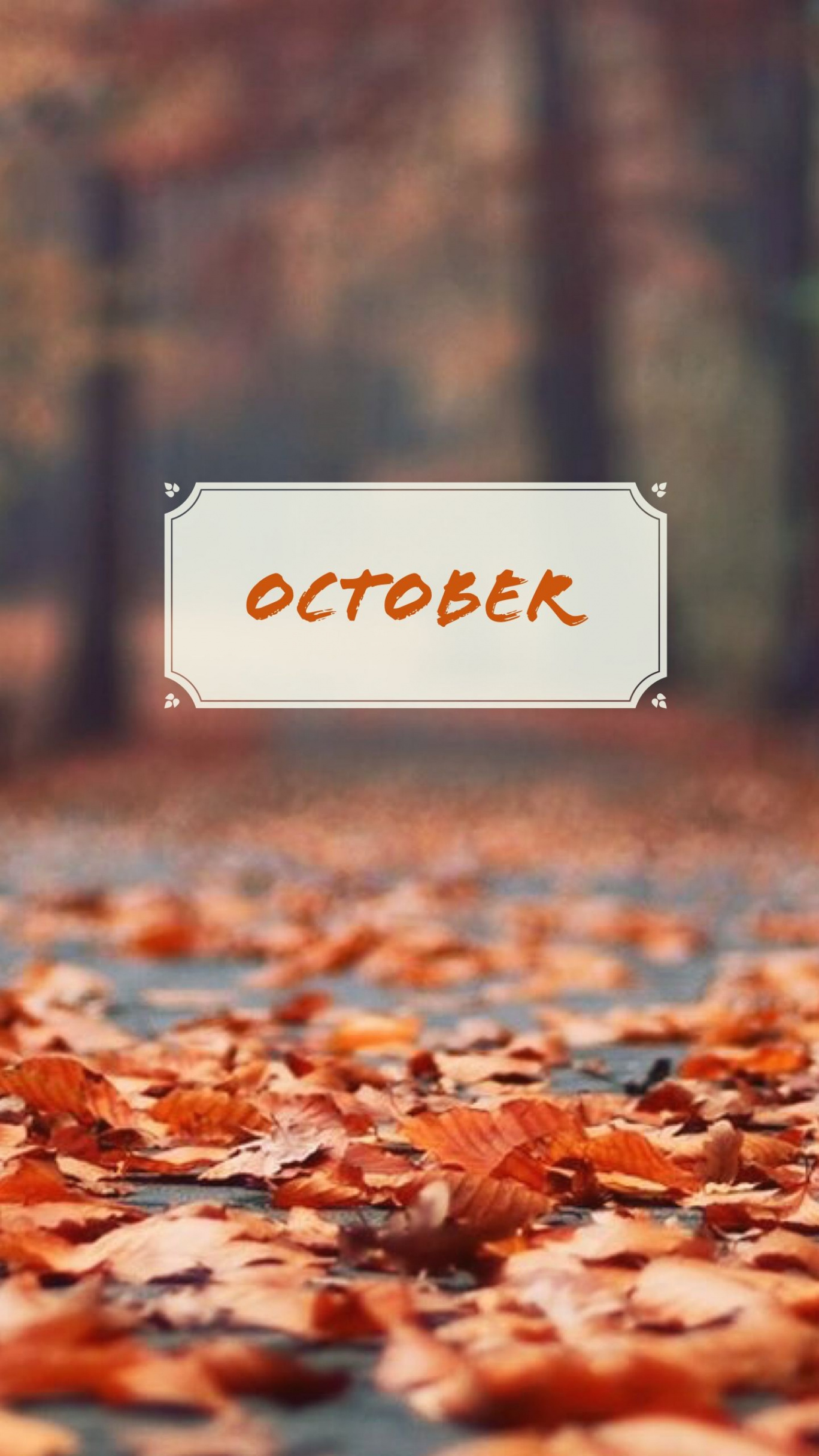 octubre #October #otoño #autumn #fall 🍁🍂  Cute fall wallpaper