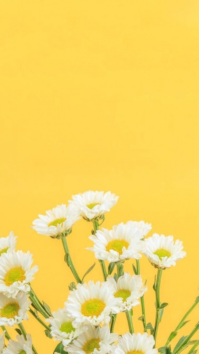 Pin by Griseldaa on wallpapers  Iphone wallpaper yellow, Yellow