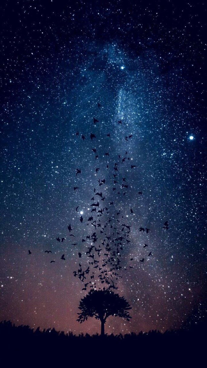 RANDOM PHONE WALLPAPER  Night sky wallpaper, Nature wallpaper