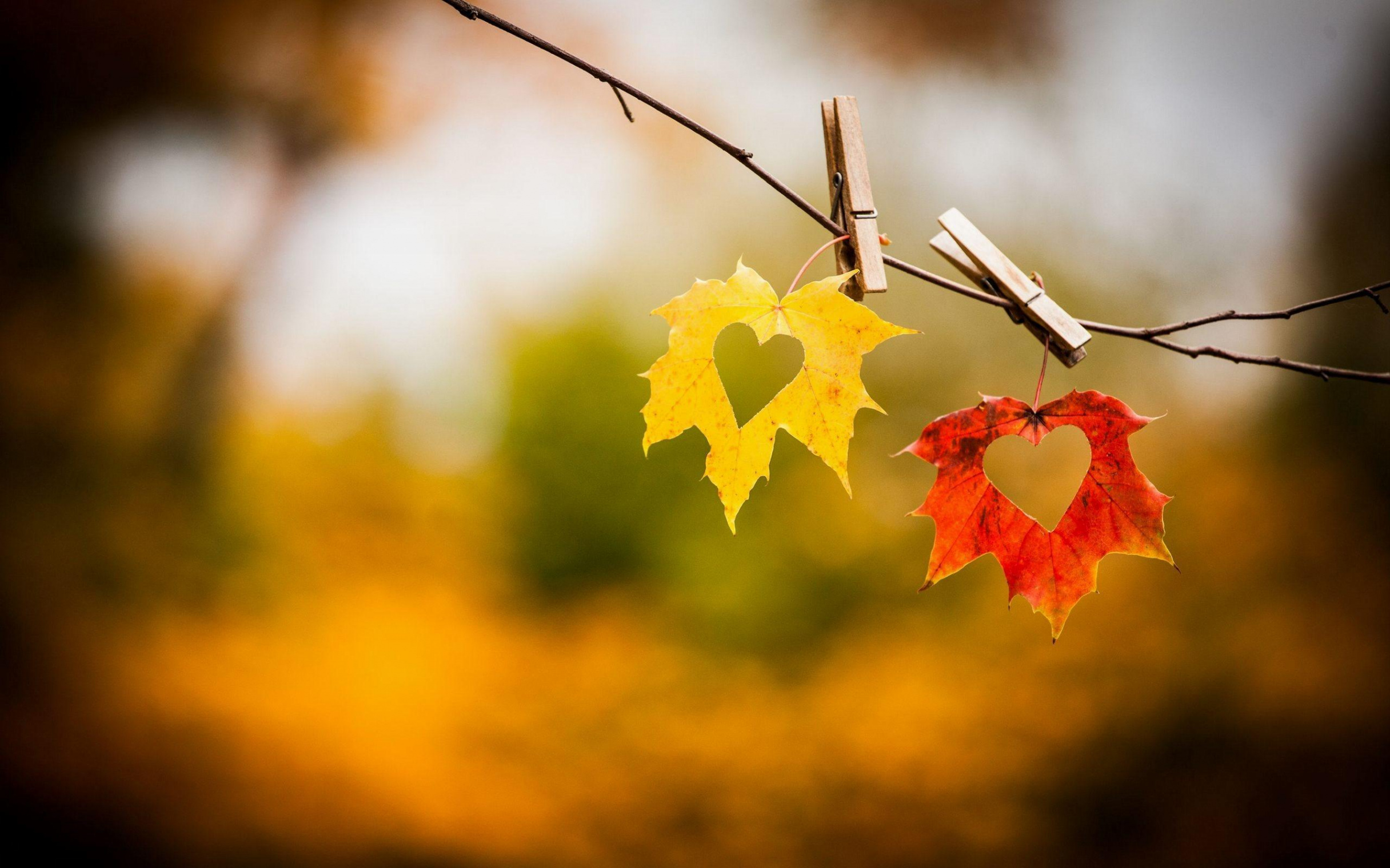 Romantic Autumn Wallpapers - Wallpaper Cave