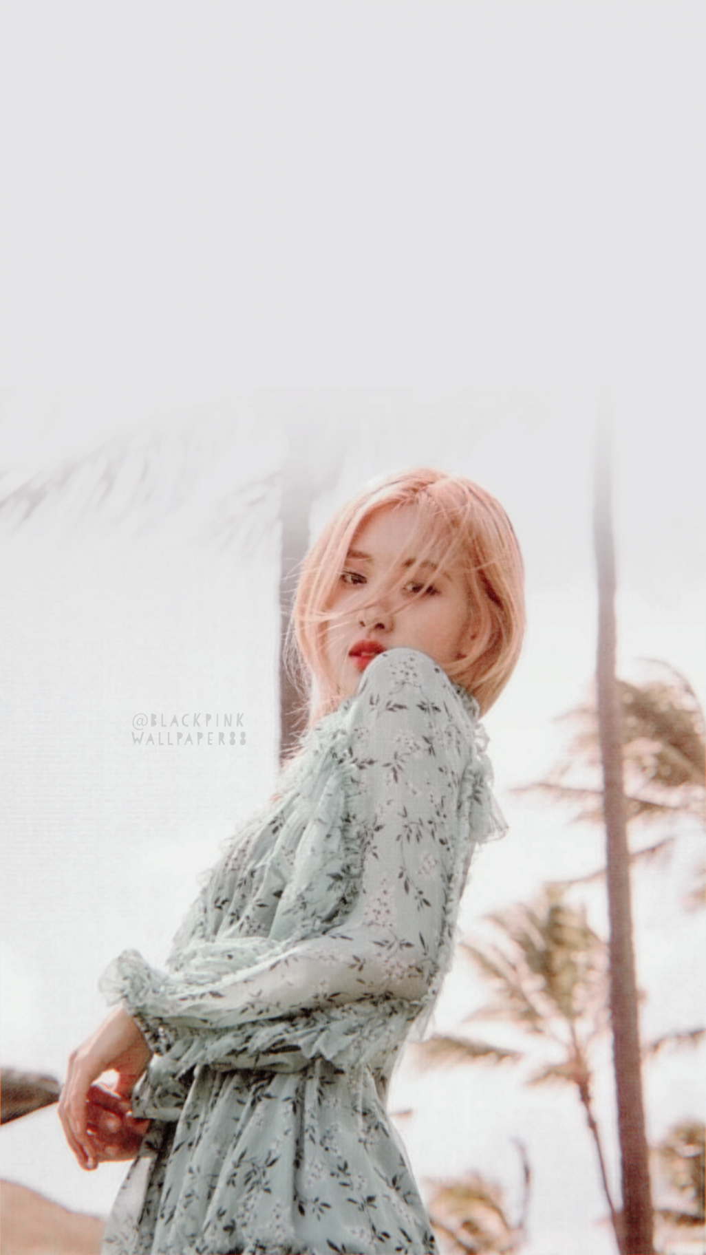 ROSÉ BLACKPINK SUMMER DIARY WALLPAPER  Rosé blackpink summer