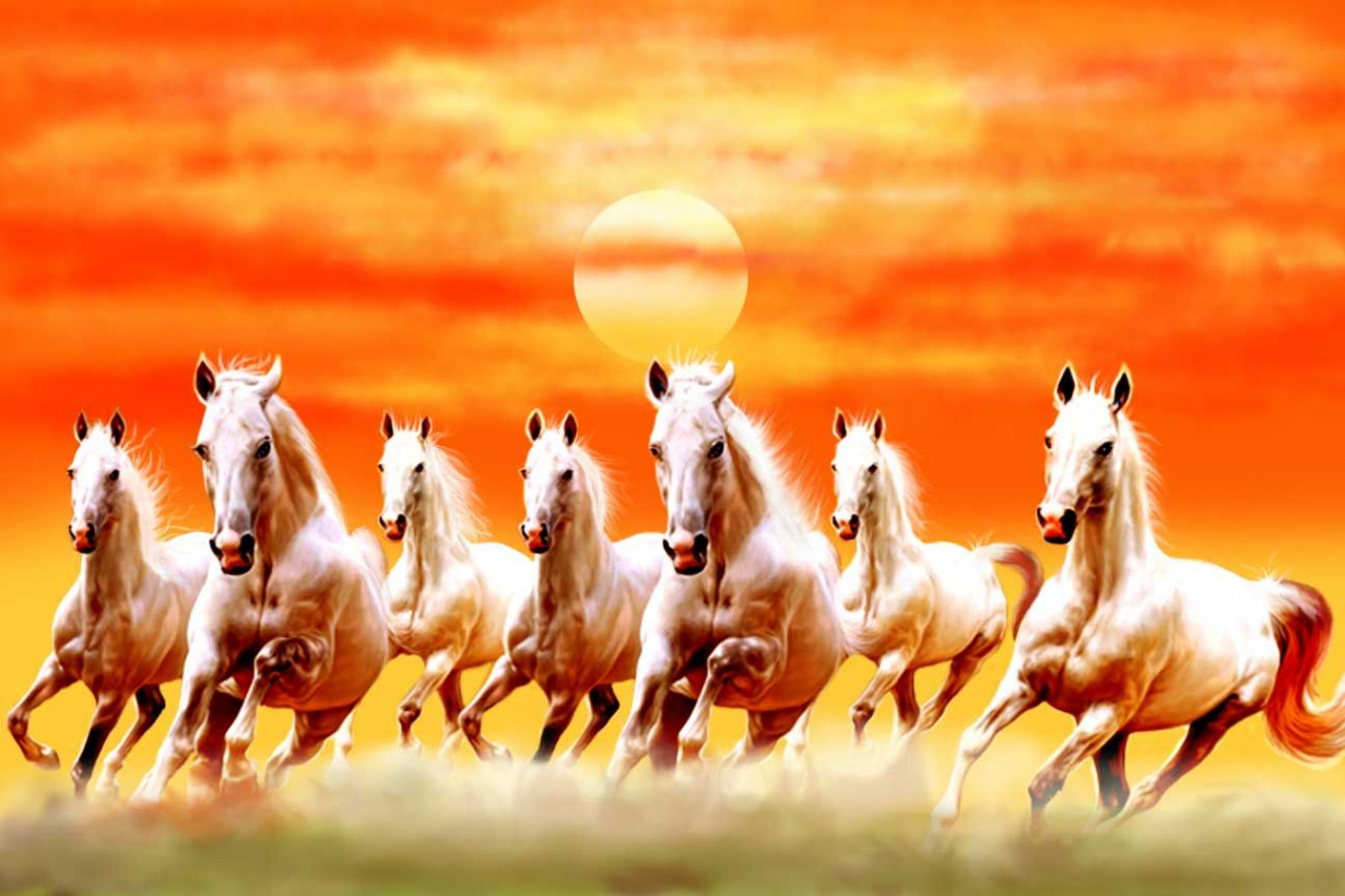 Seven Running Horses  Running horse wallpaper for phone, Horse