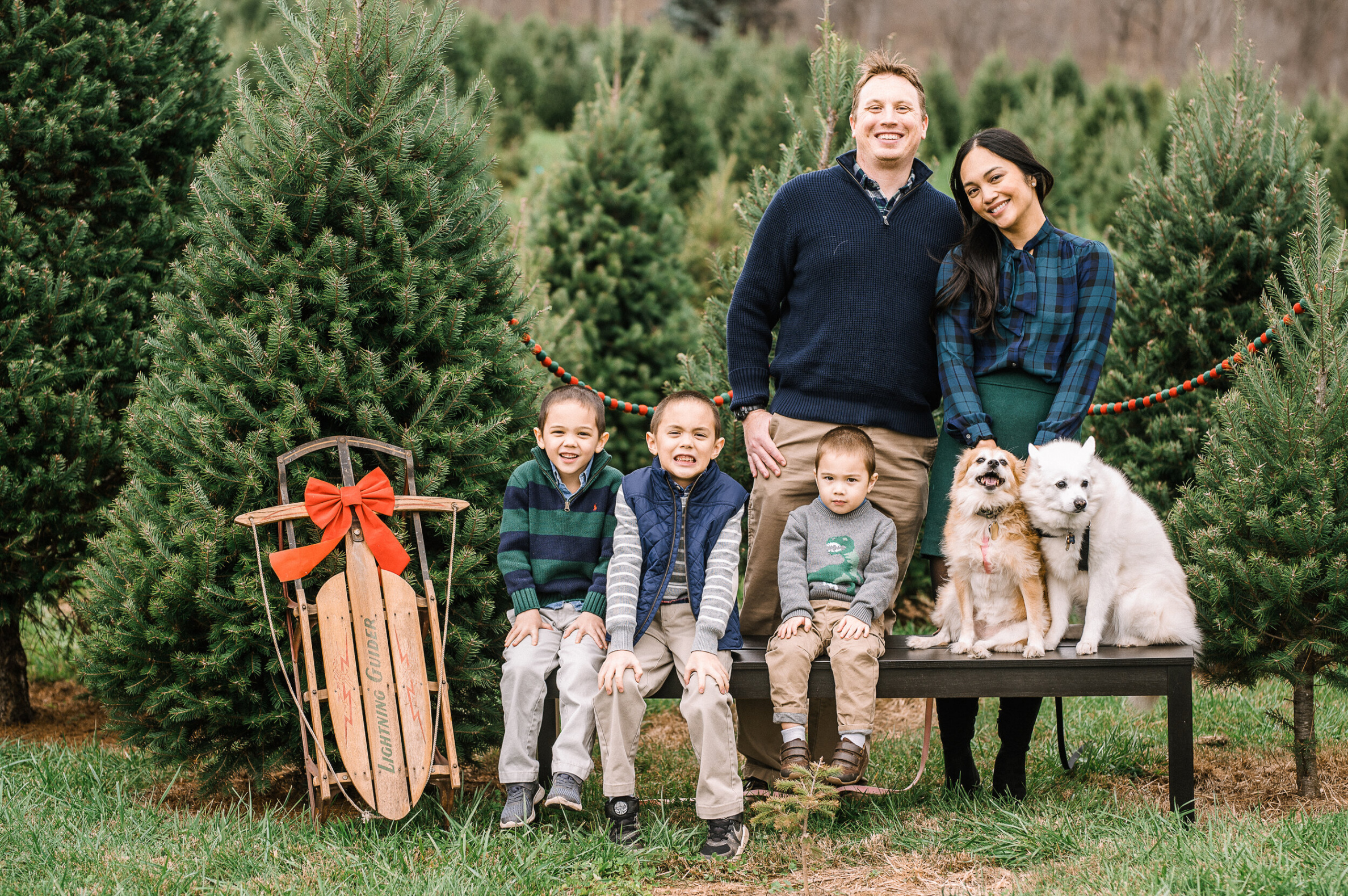 Snickers Gap Christmas Tree Farm Family Mini Sessions  Round Hill