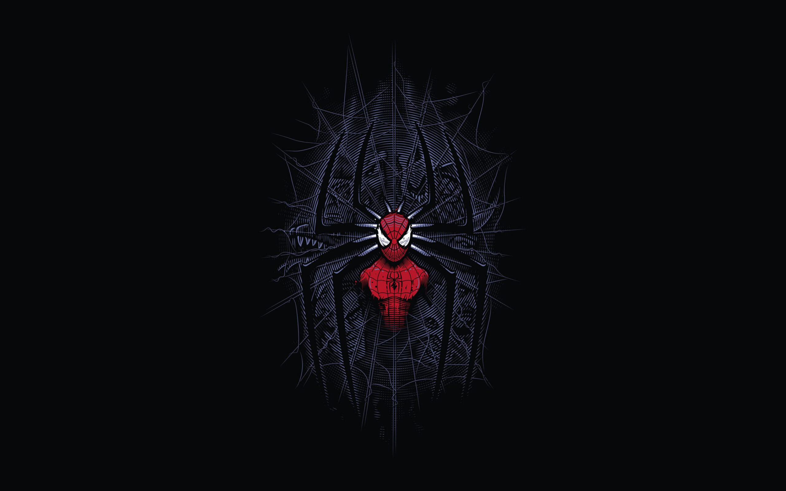 Spiderman Minimalist Digital Art k In x Resolution