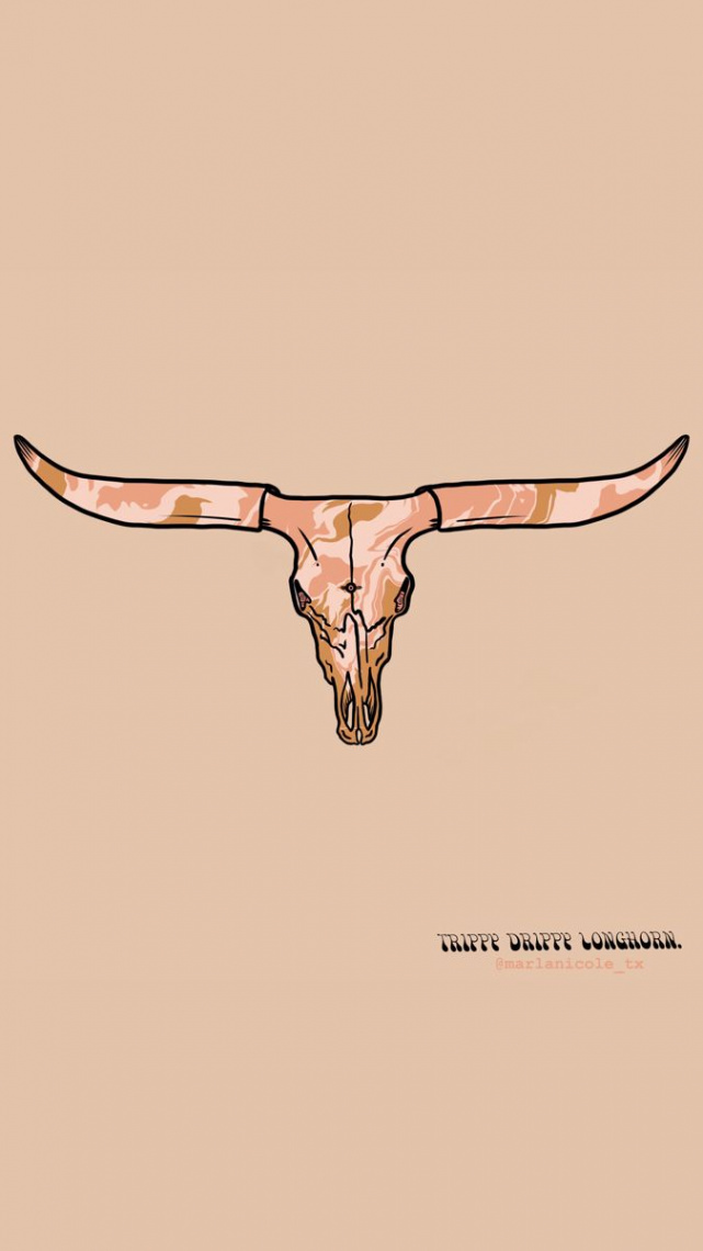 trippy #drippy #longhorn #digitalart #westernart #skull #boho