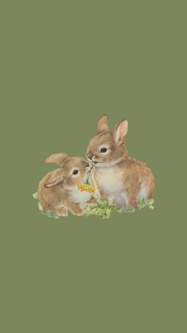 wallpaper :) in   Rabbit wallpaper, Bunny wallpaper