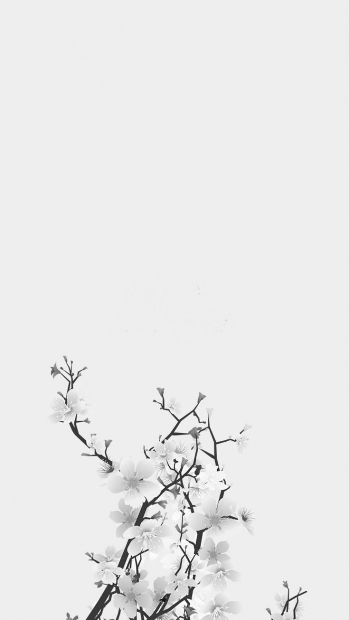 White background, white flowers, removed text, life  White iphone