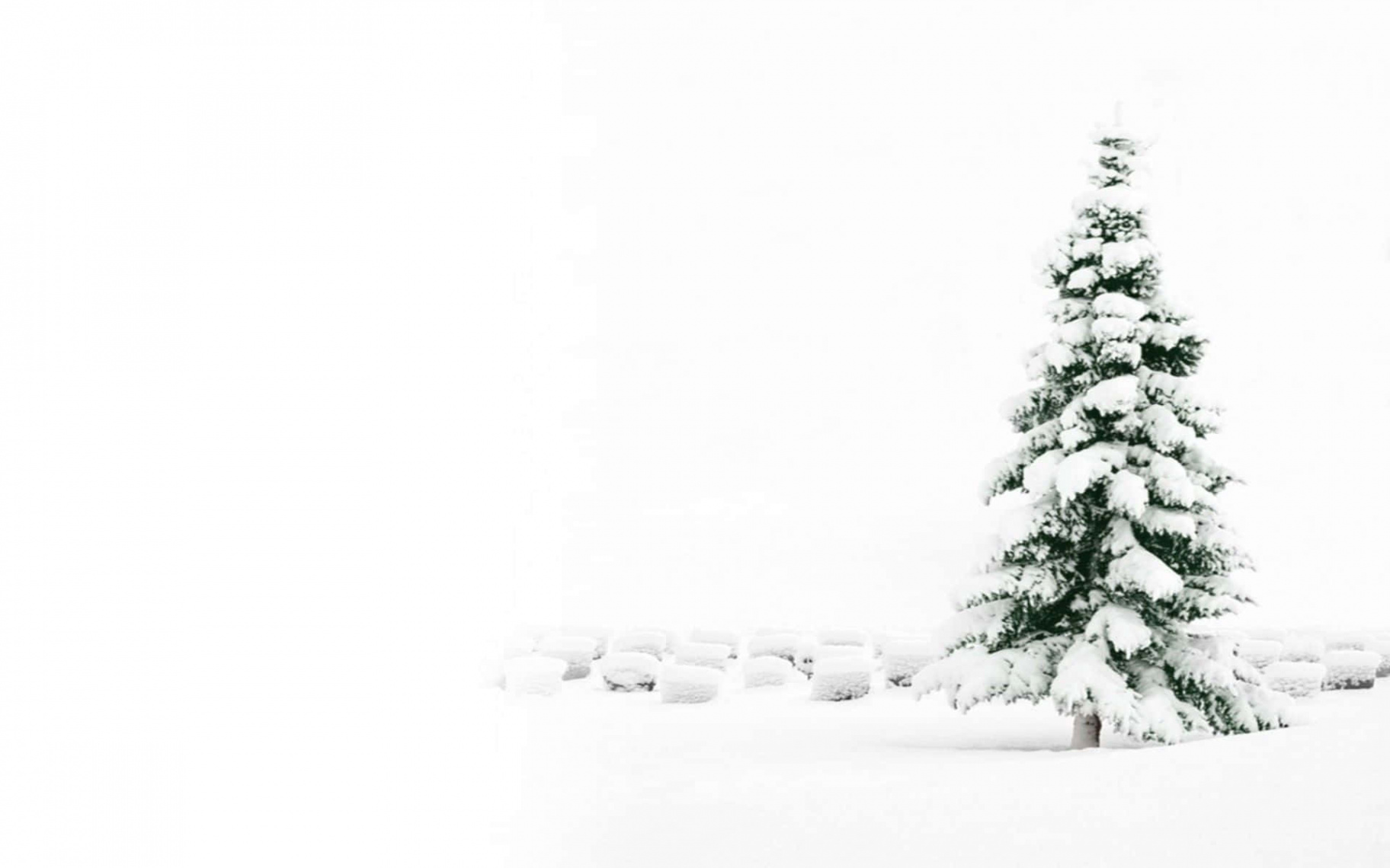 +] White Christmas Wallpapers  Wallpapers