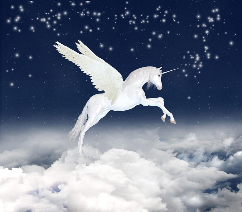 White unicorn flying in the sky Wall Mural Wallpaper  Canvas Art