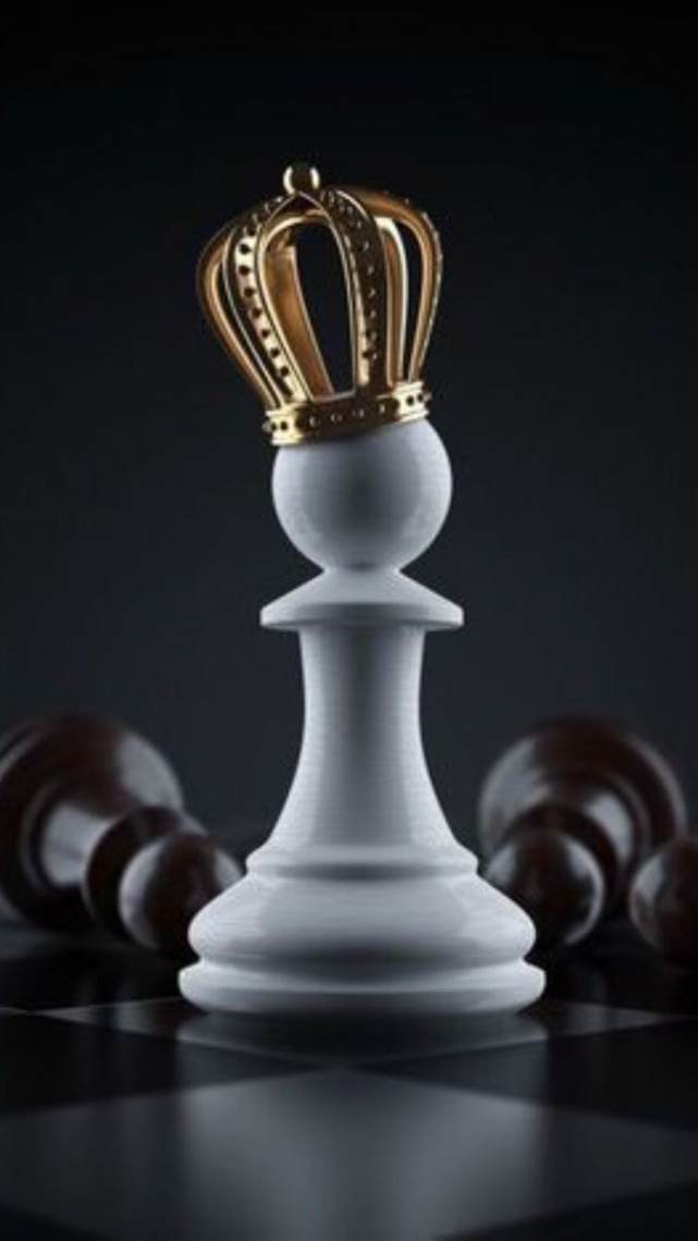 Xadrez/Chess  Decent wallpapers, Queen chess piece, Cool pictures