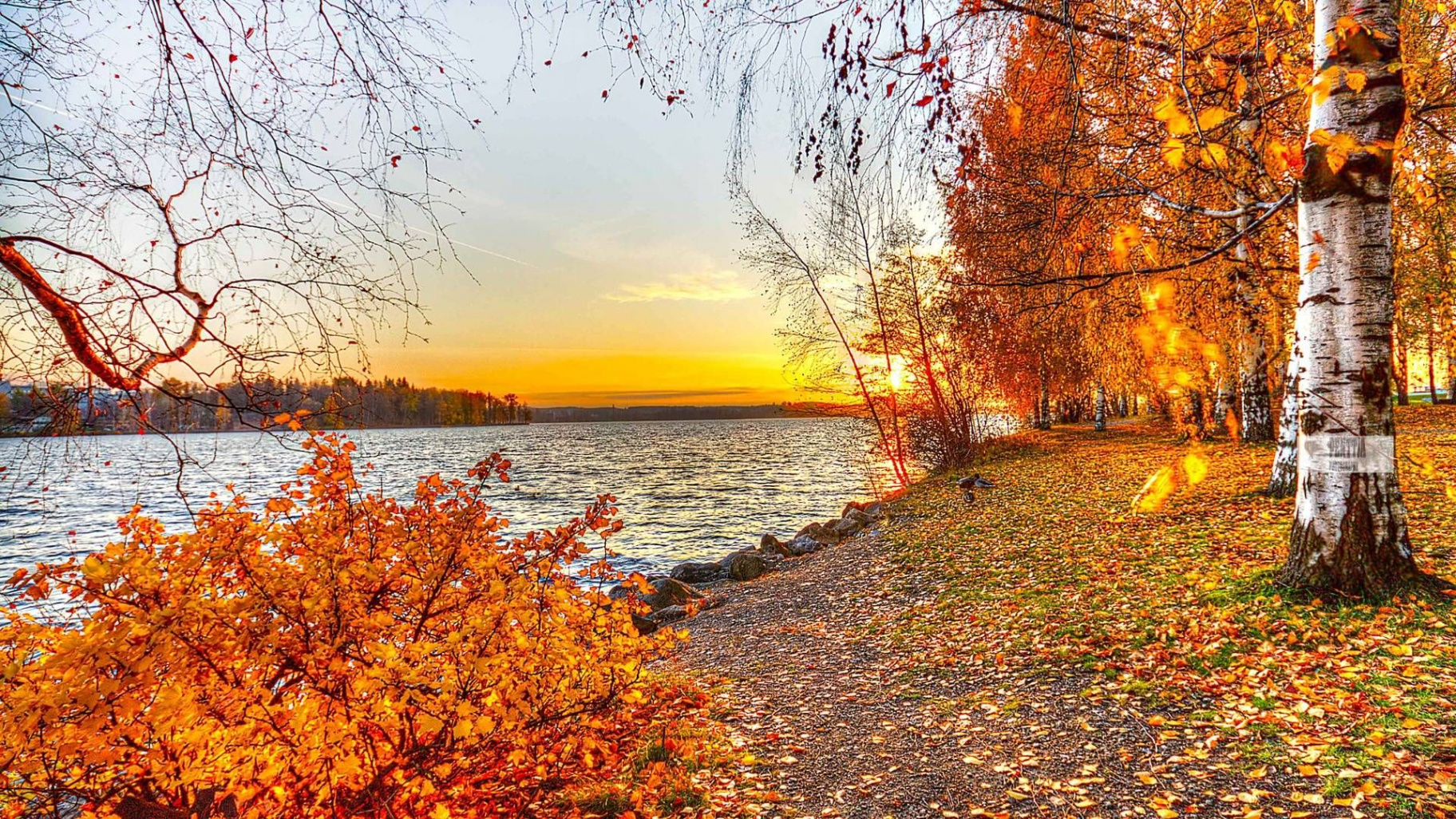 Autumn Landscape Wallpapers  Autumn landscape, Landscape