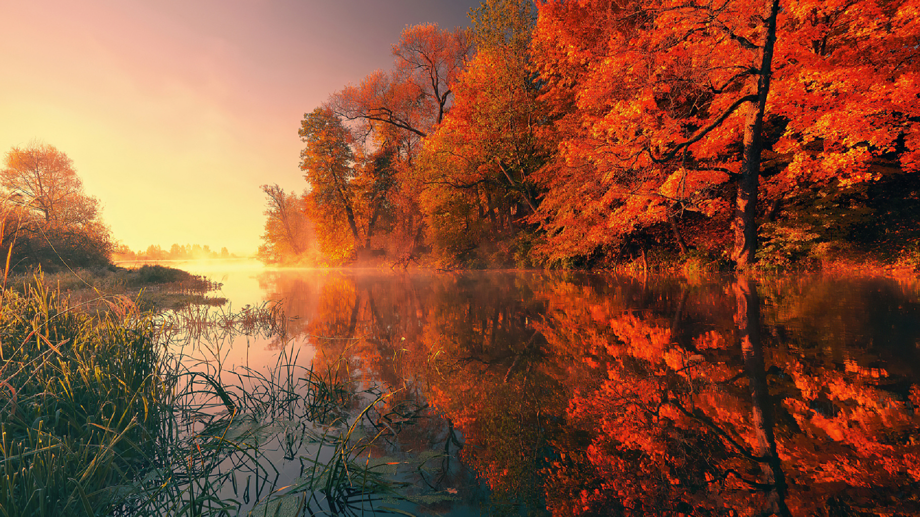 Autumn Trees Fall Reflection Autumn HD Wallpaper - /s/Cinnamon