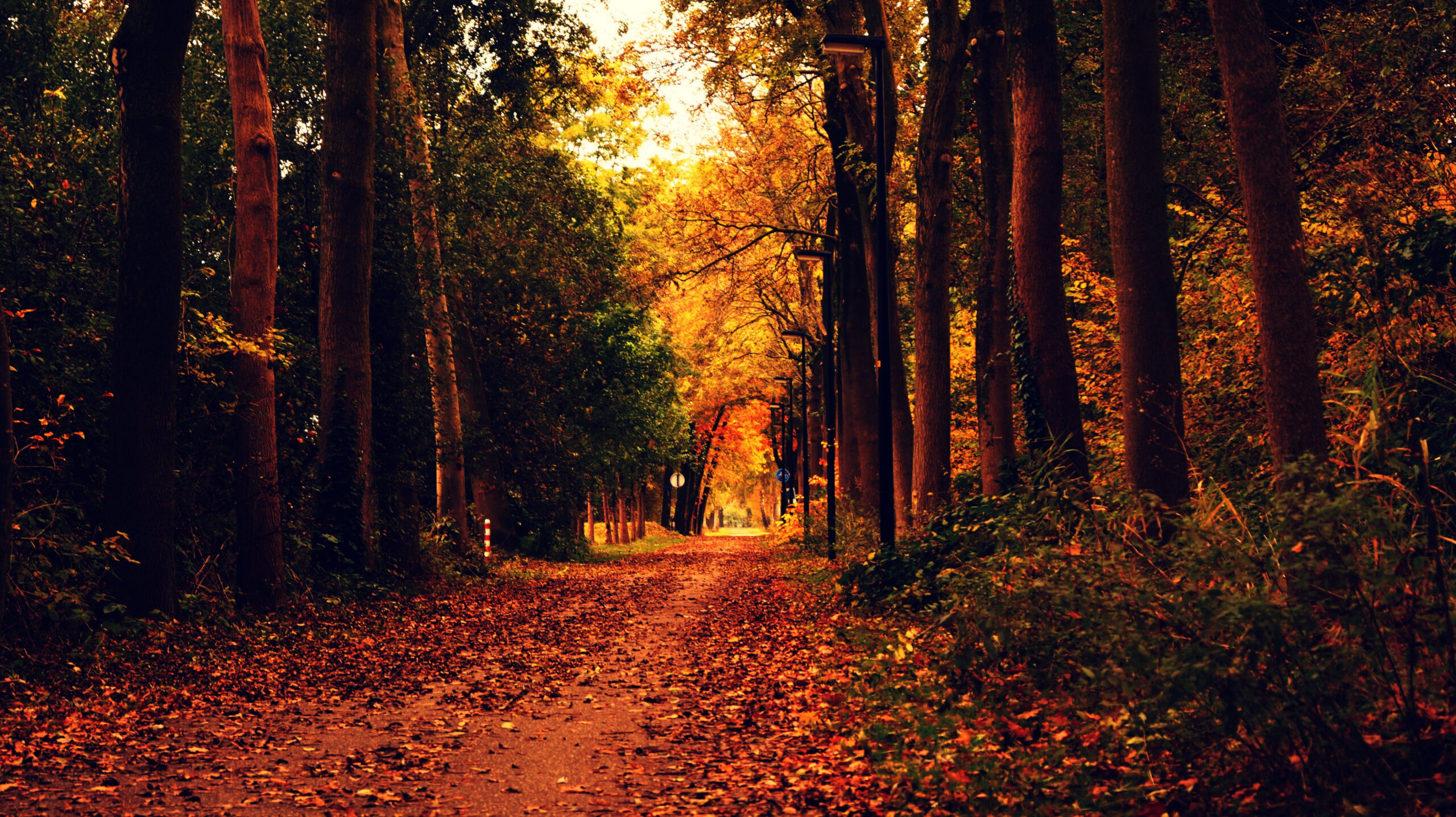 Autumn Wallpaper Photos, Download The BEST Free Autumn Wallpaper