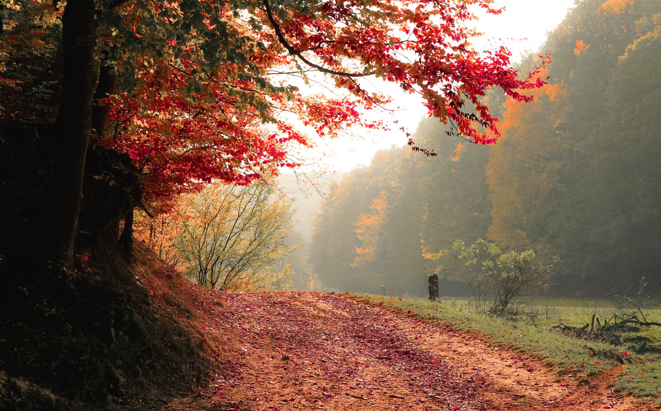 Autumn Wallpaper Photos, Download The BEST Free Autumn Wallpaper