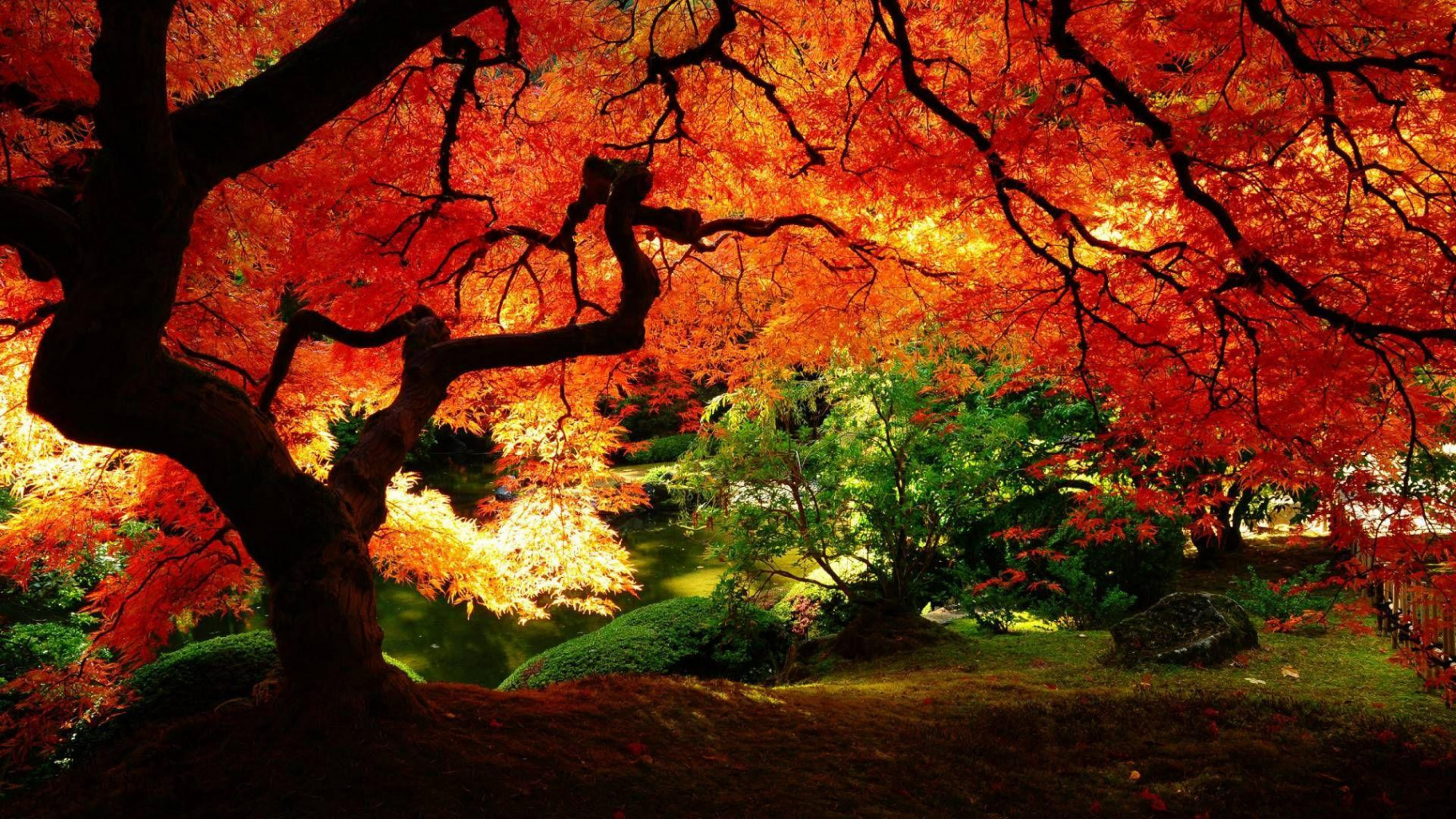 Autumn Zen Garden Wallpapers - Wallpaper Cave