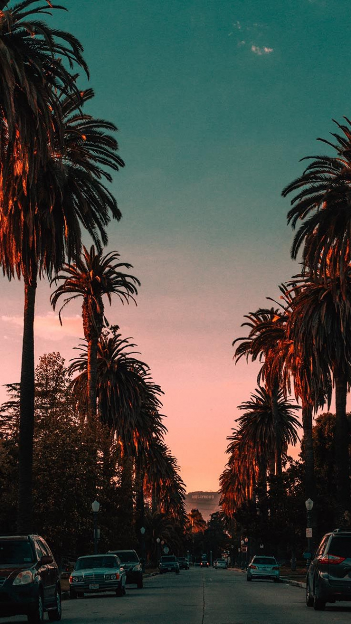 Beautiful Los Angeles iPhone X Wallpapers  Preppy Wallpapers