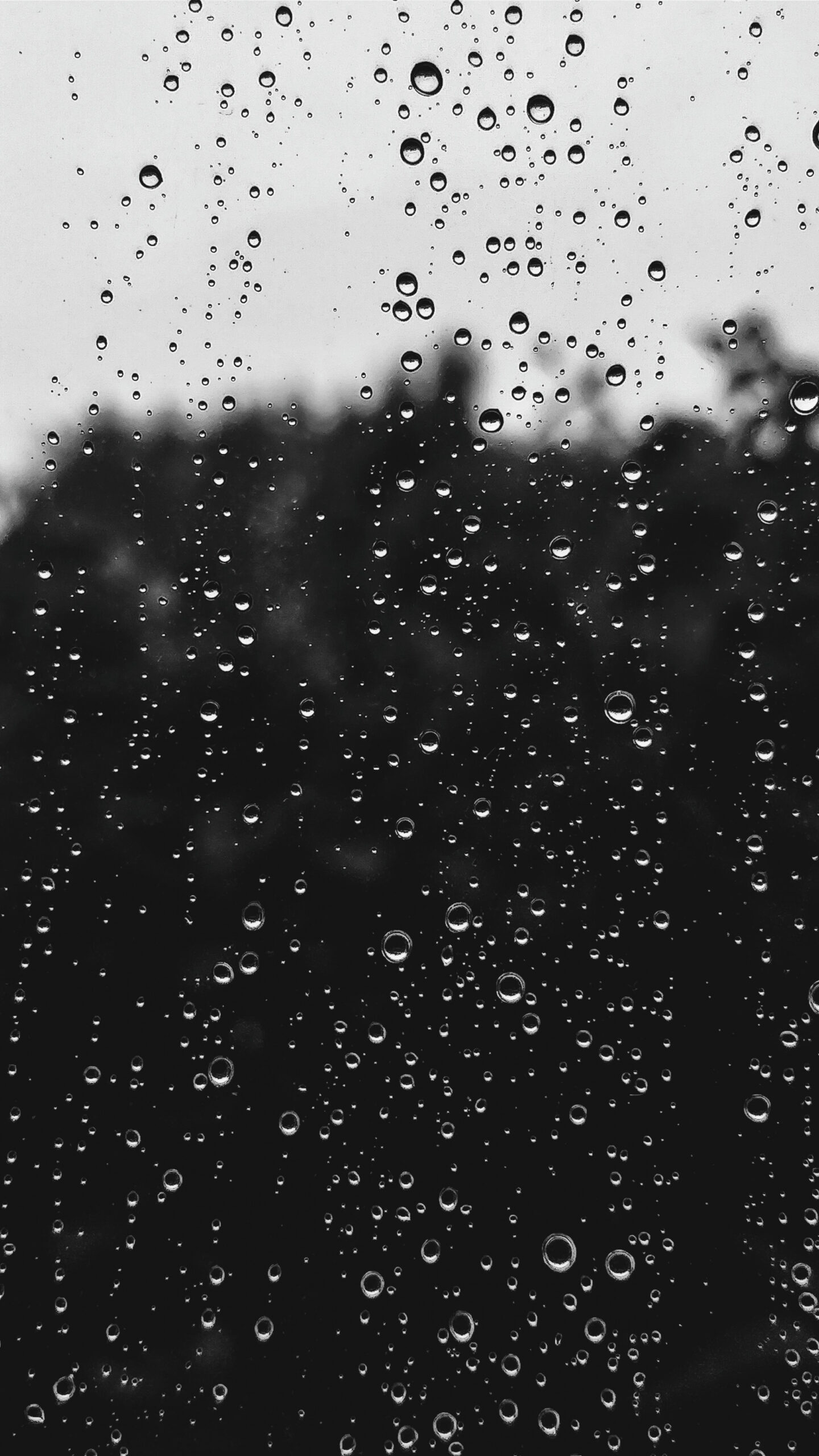 ,+ Black Rain Pictures  Download Free Images on Unsplash