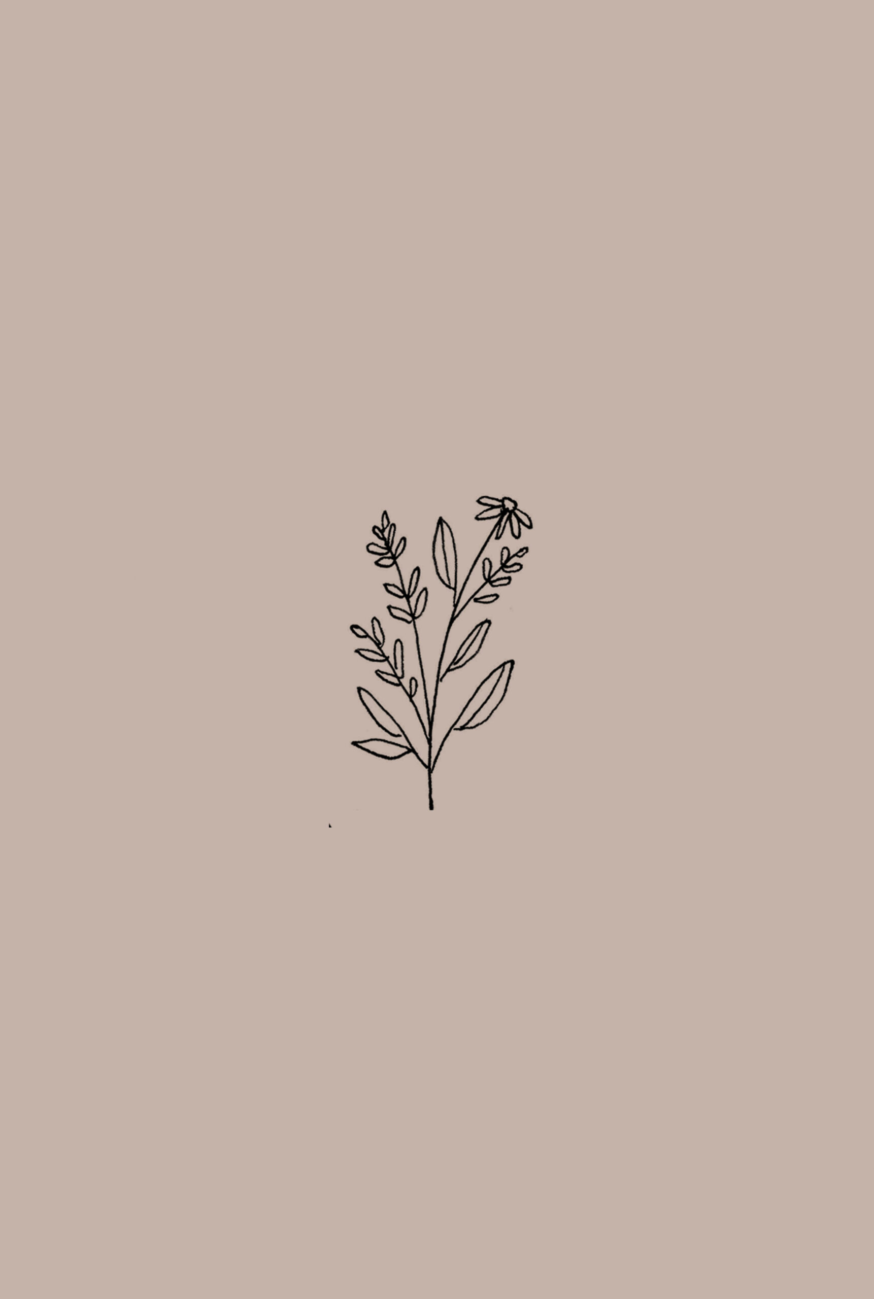 Botanic  Minimalist tattoo, Minimalist wallpaper, Aesthetic