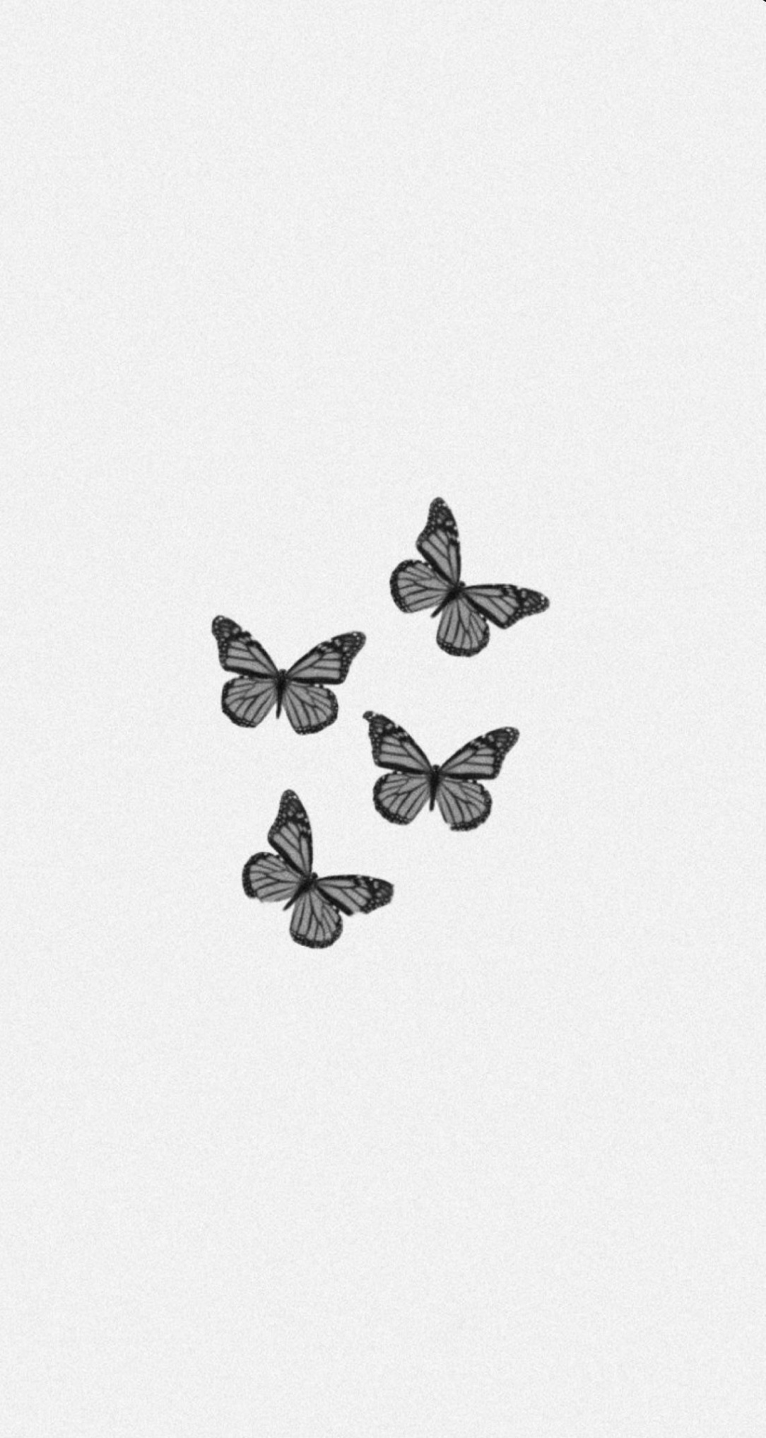 Butterflies aesthetic  Black and white photo wall, Black and