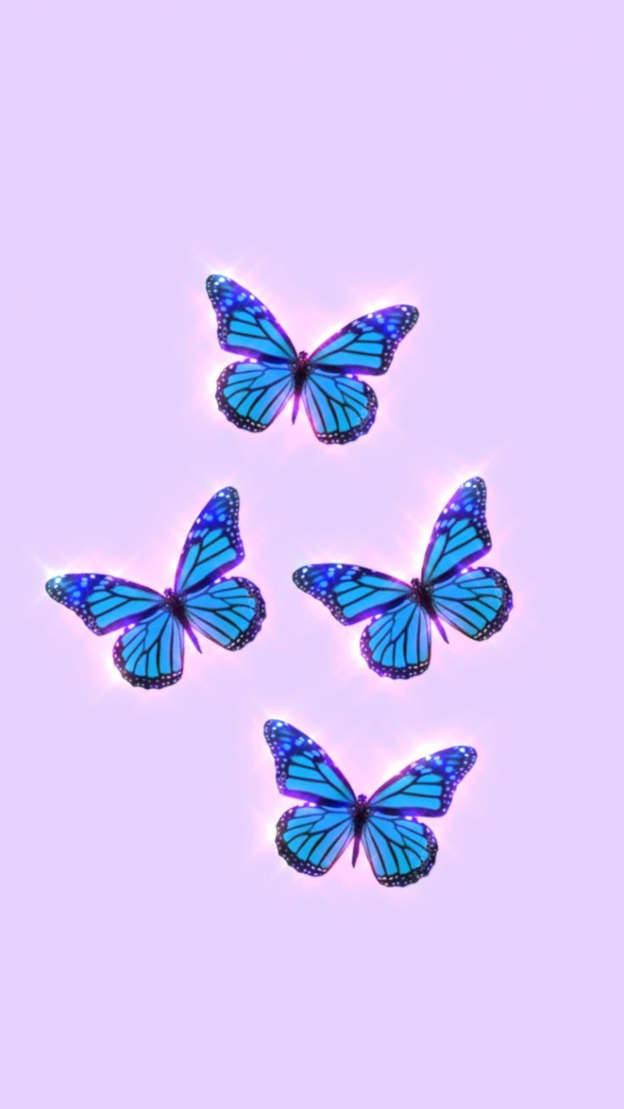 Butterfly aesthetic wallpaper  Butterfly wallpaper, Butterfly