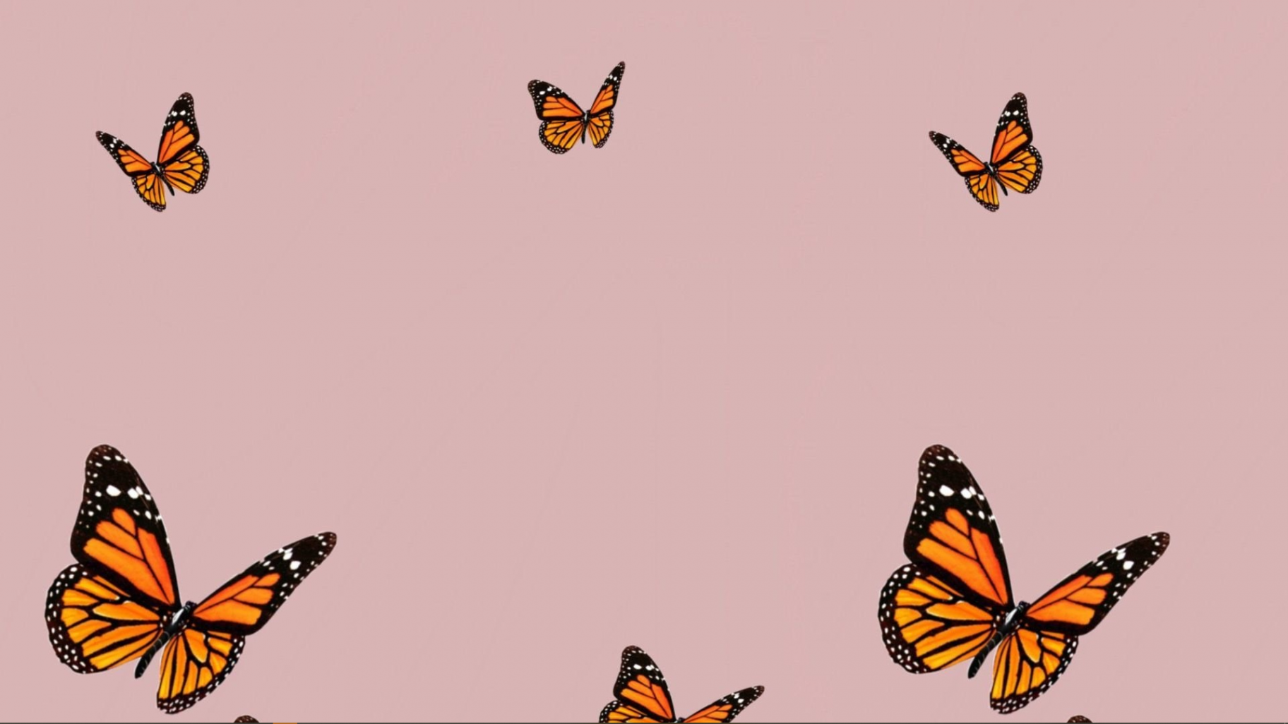 butterfly background  Cute desktop wallpaper, Butterfly